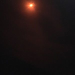 Meet your Posher, Leyla